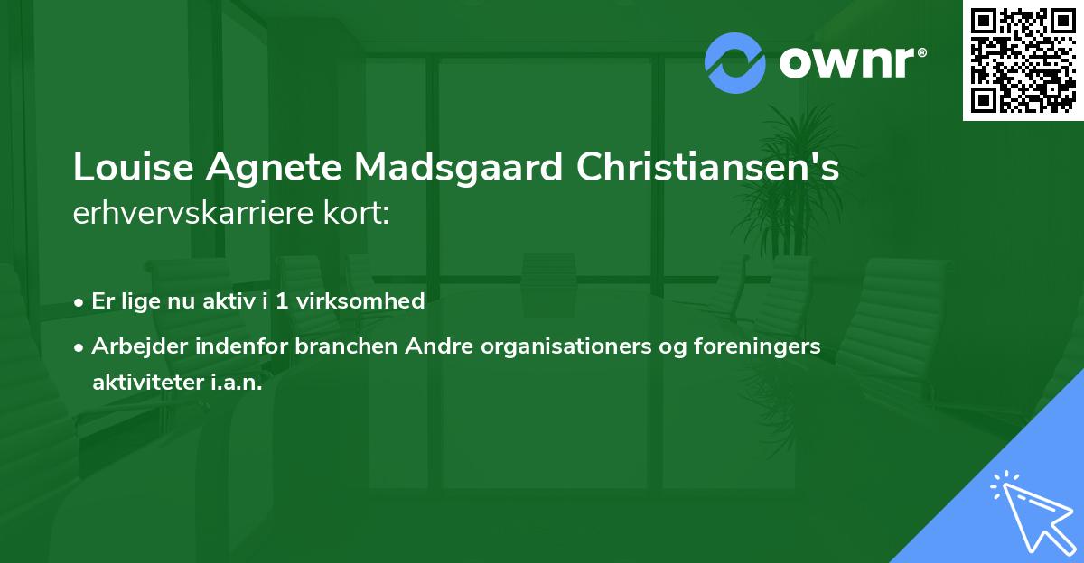 Louise Agnete Madsgaard Christiansen's erhvervskarriere kort