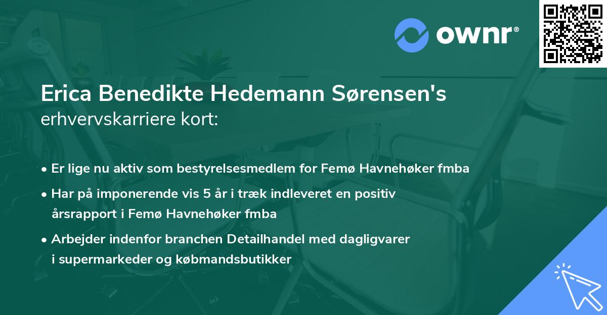 Erica Benedikte Hedemann Sørensen's erhvervskarriere kort