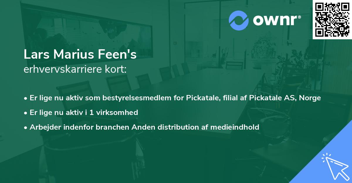 Lars Marius Feen's erhvervskarriere kort