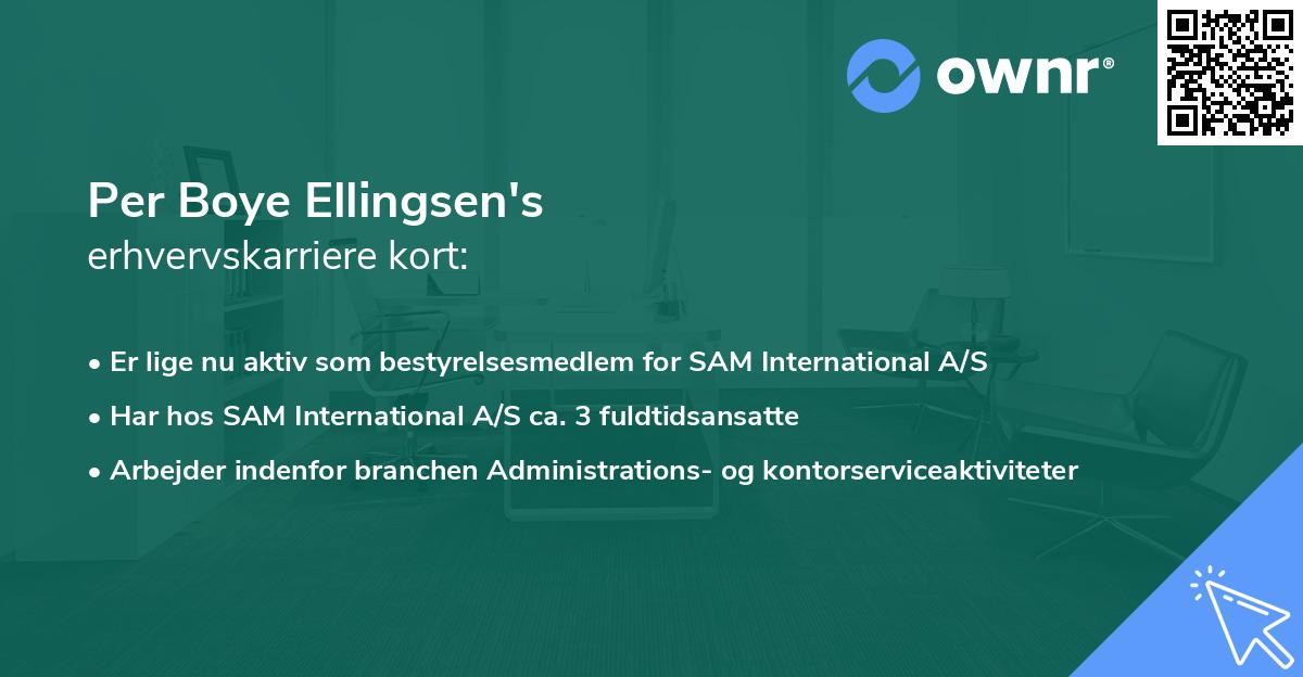 Per Boye Ellingsen's erhvervskarriere kort