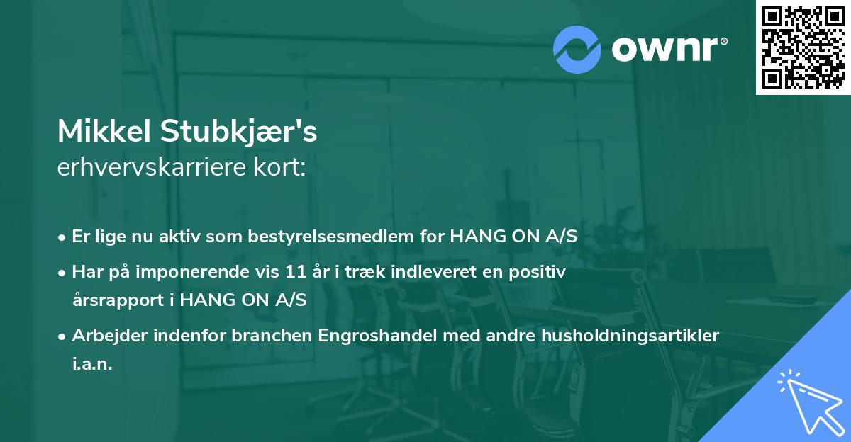 Mikkel Stubkjær's erhvervskarriere kort
