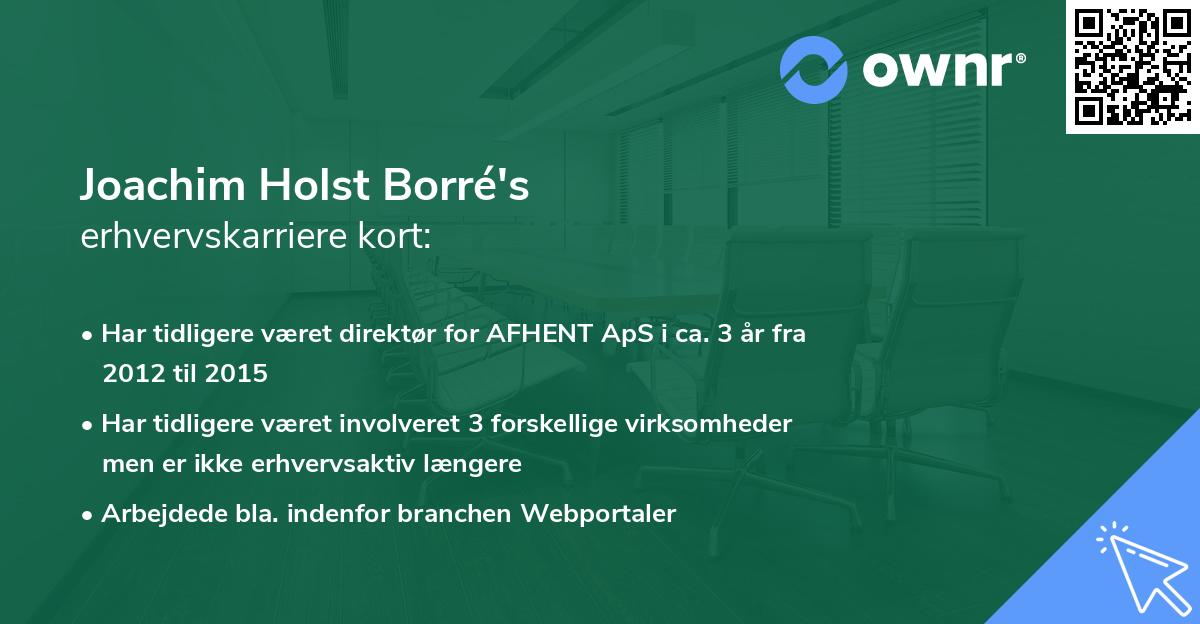 Joachim Holst Borré's erhvervskarriere kort