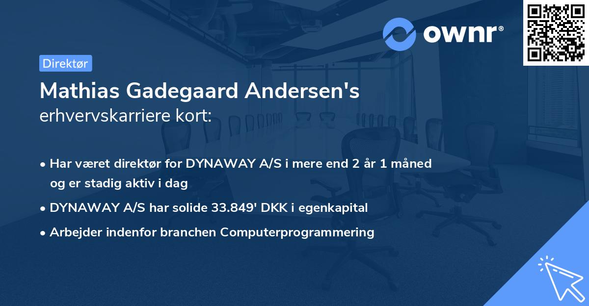 Mathias Gadegaard Andersen's erhvervskarriere kort