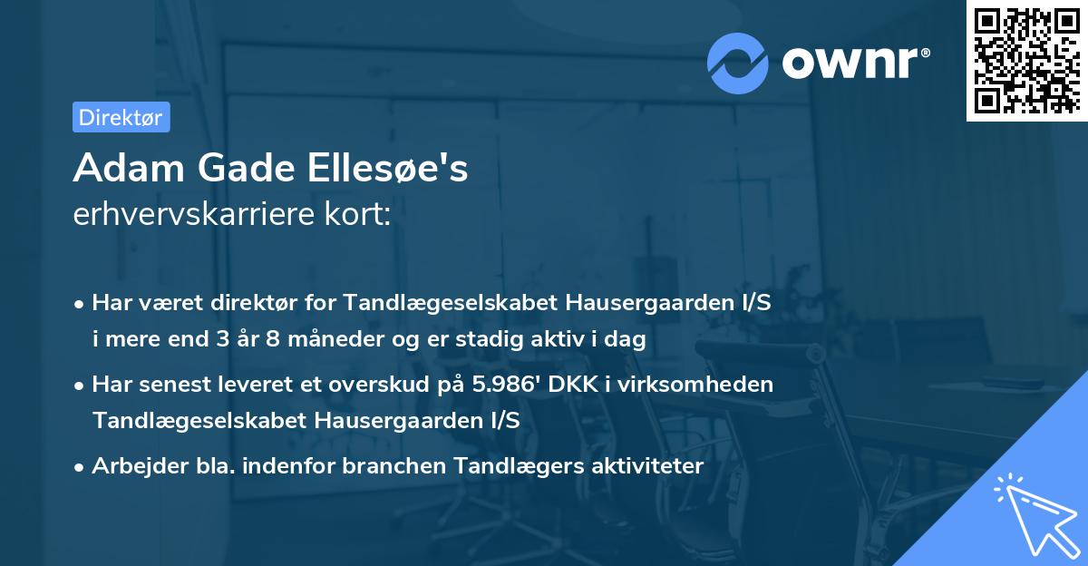 Adam Gade Ellesøe's erhvervskarriere kort