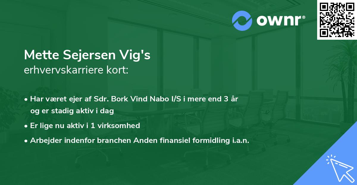 Mette Sejersen Vig's erhvervskarriere kort