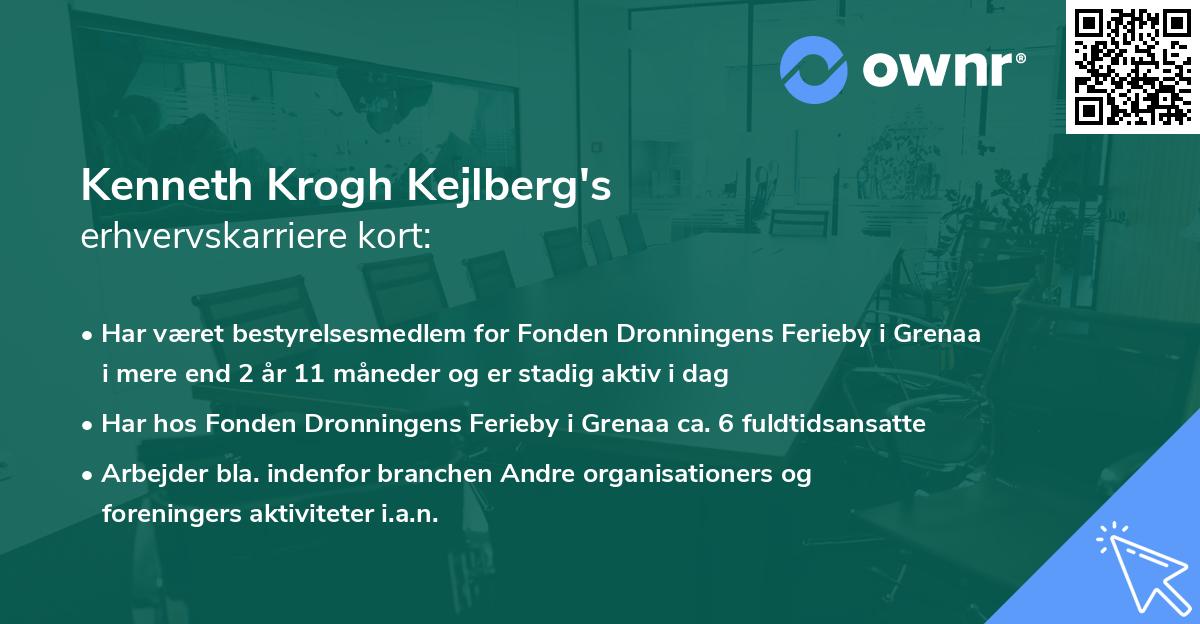 Kenneth Krogh Kejlberg's erhvervskarriere kort