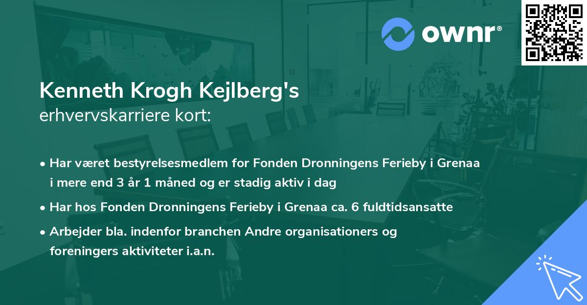 Kenneth Krogh Kejlberg's erhvervskarriere kort