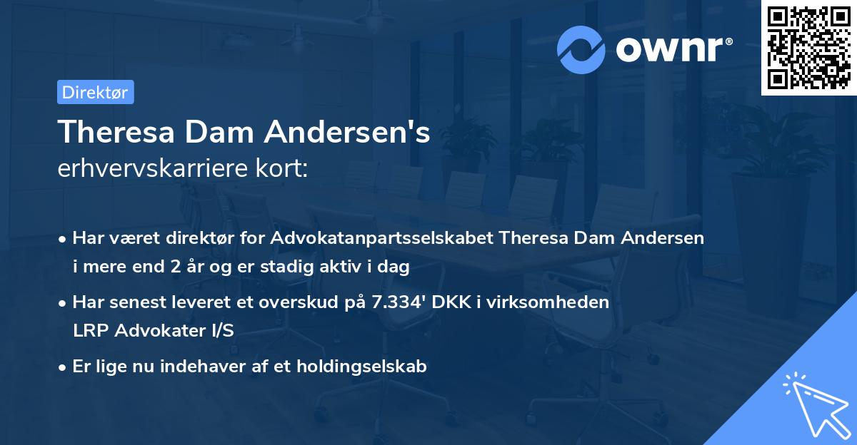 Theresa Dam Andersen's erhvervskarriere kort