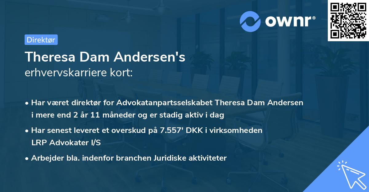 Theresa Dam Andersen's erhvervskarriere kort