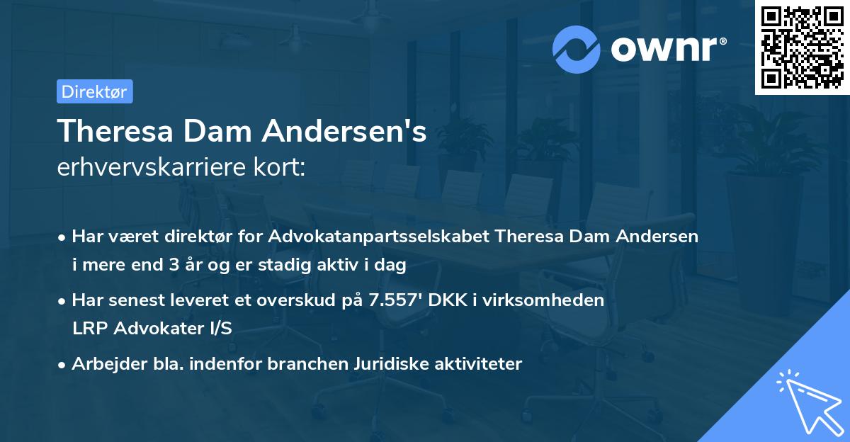 Theresa Dam Andersen's erhvervskarriere kort