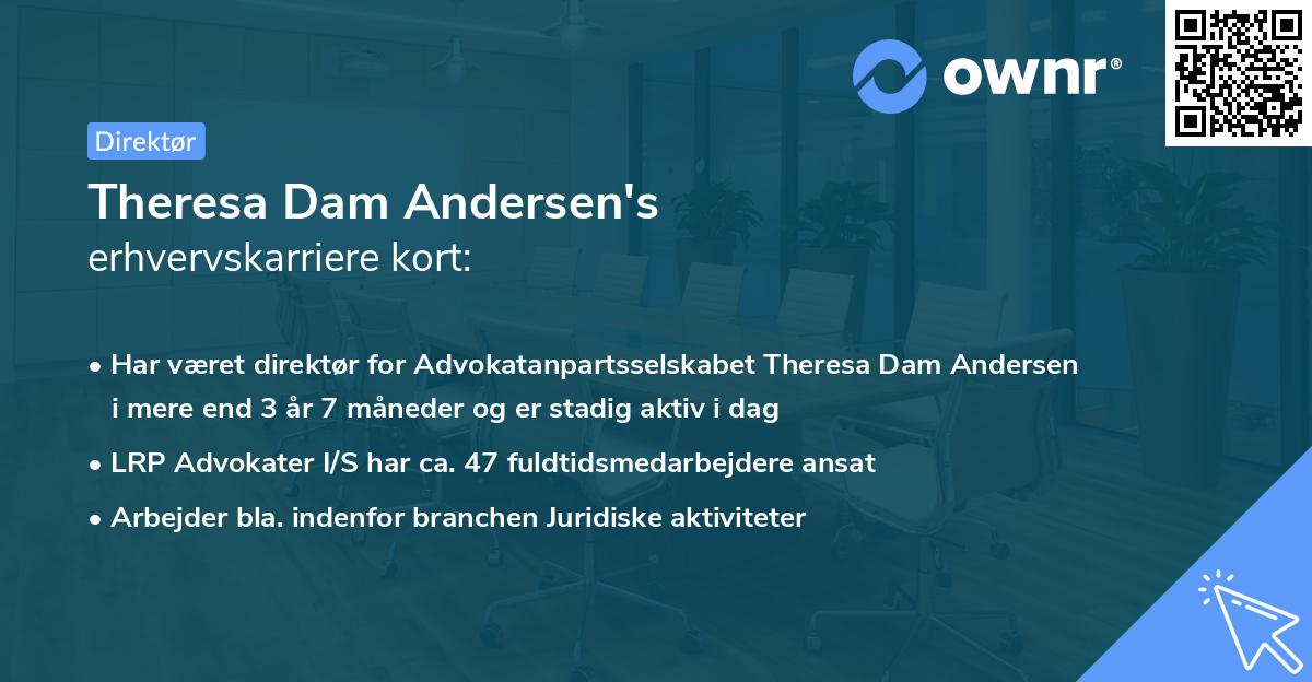 Theresa Dam Andersen's erhvervskarriere kort