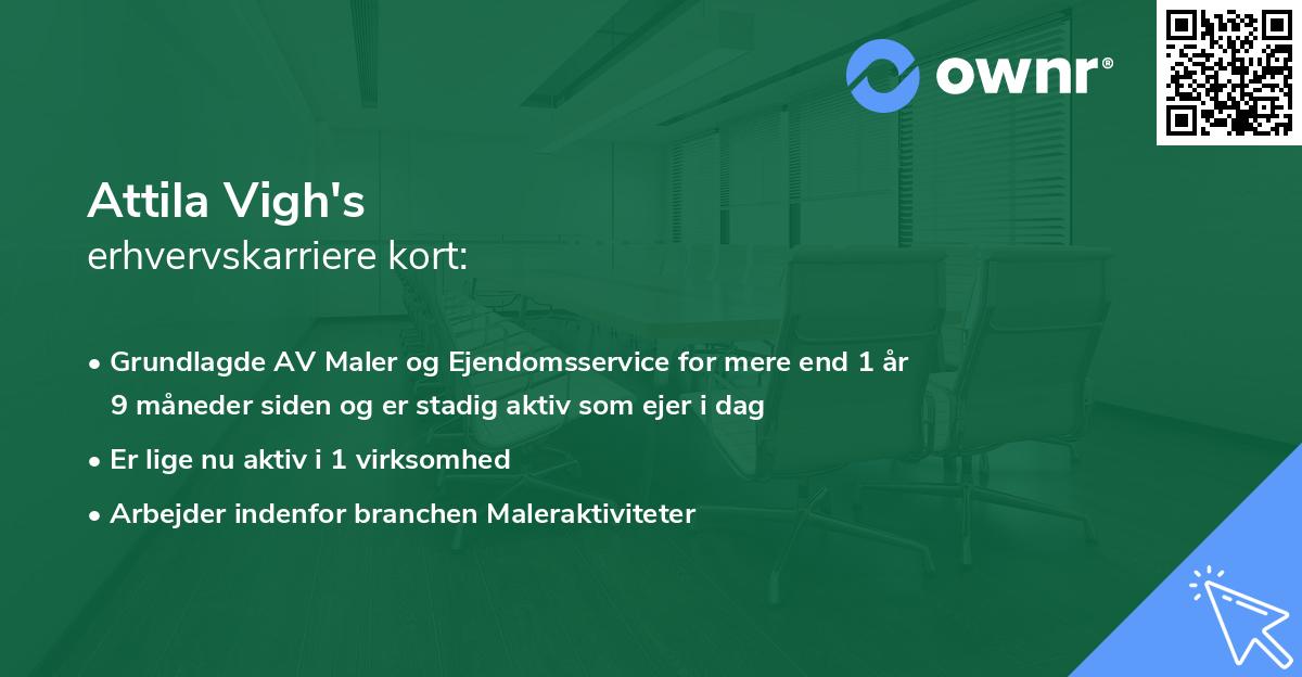 Attila Vigh's erhvervskarriere kort