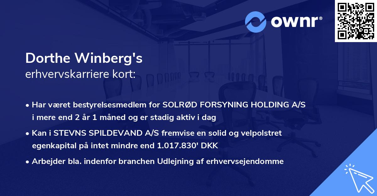 Dorthe Winberg's erhvervskarriere kort
