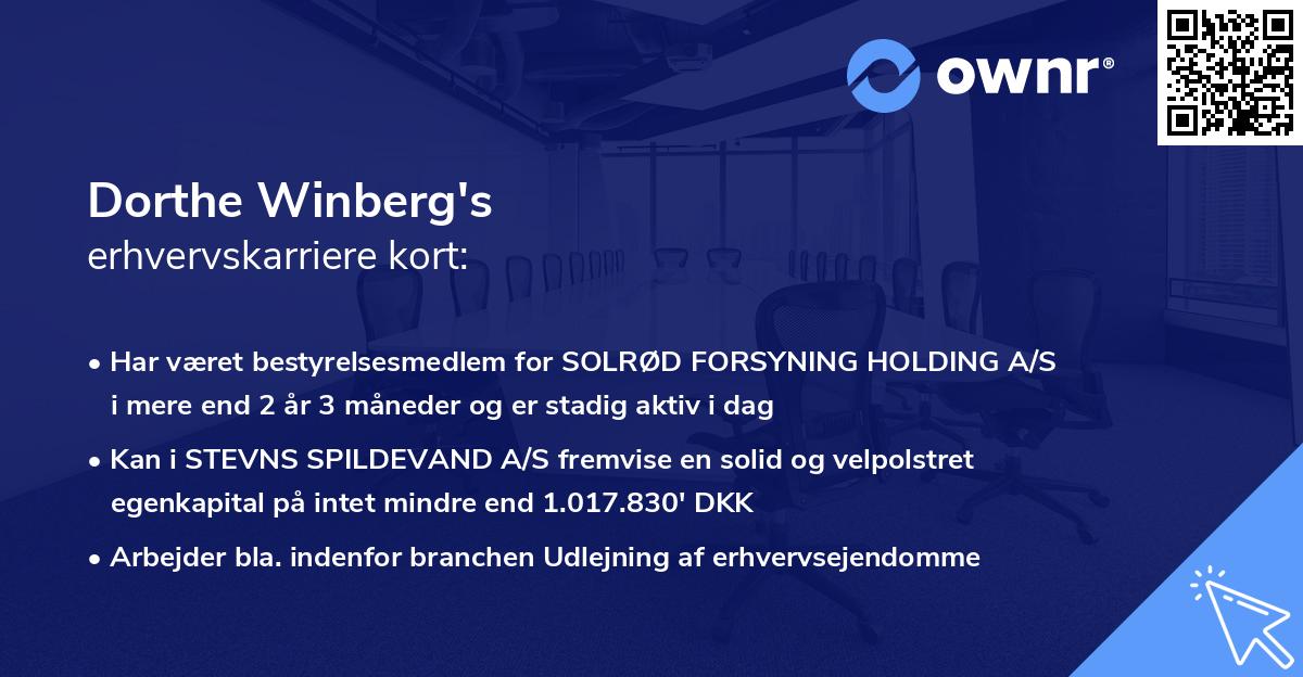Dorthe Winberg's erhvervskarriere kort