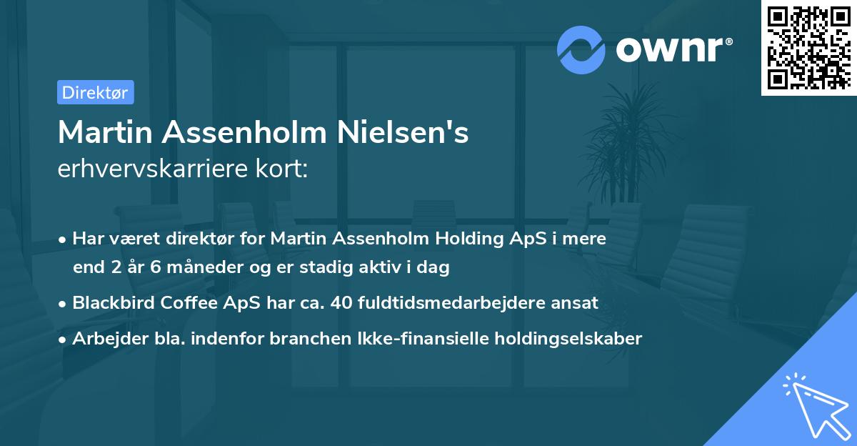 Martin Assenholm Nielsen's erhvervskarriere kort