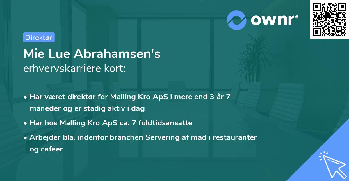 Mie Lue Abrahamsen's erhvervskarriere kort