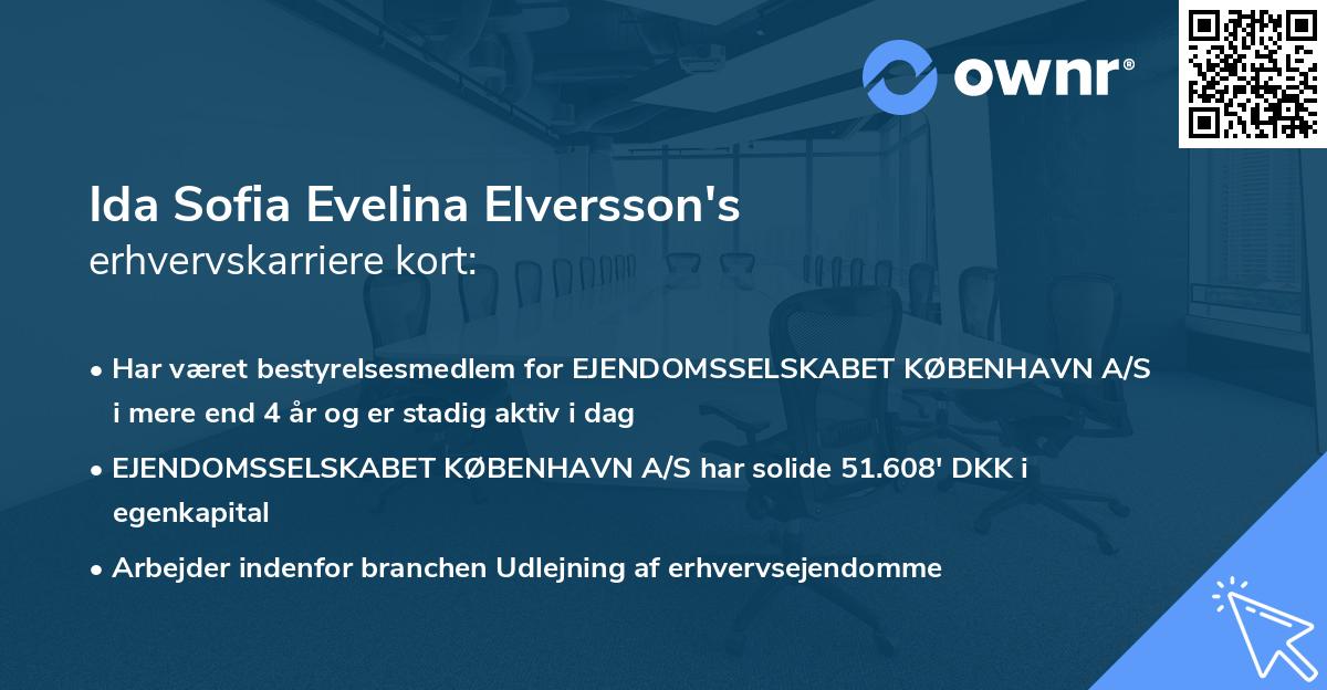Ida Sofia Evelina Elversson's erhvervskarriere kort