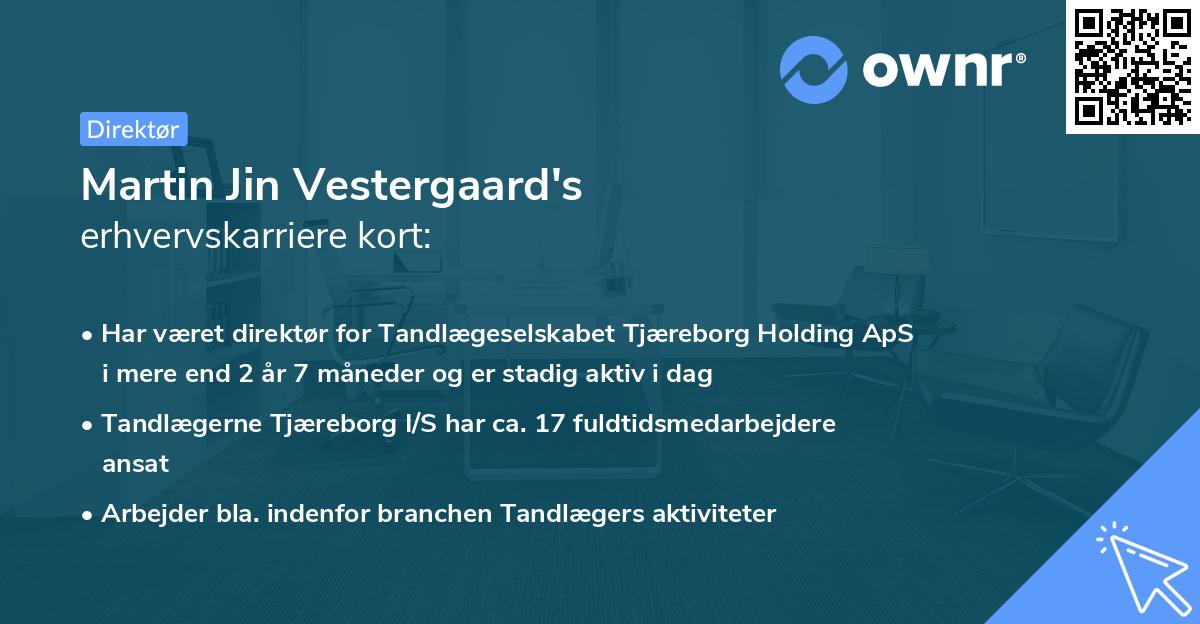 Martin Jin Vestergaard's erhvervskarriere kort