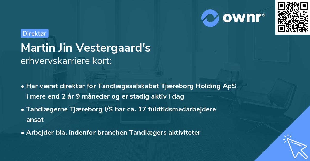 Martin Jin Vestergaard's erhvervskarriere kort
