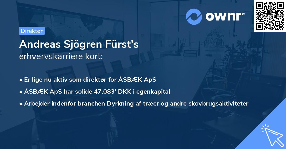 Andreas Sjögren Fürst's erhvervskarriere kort