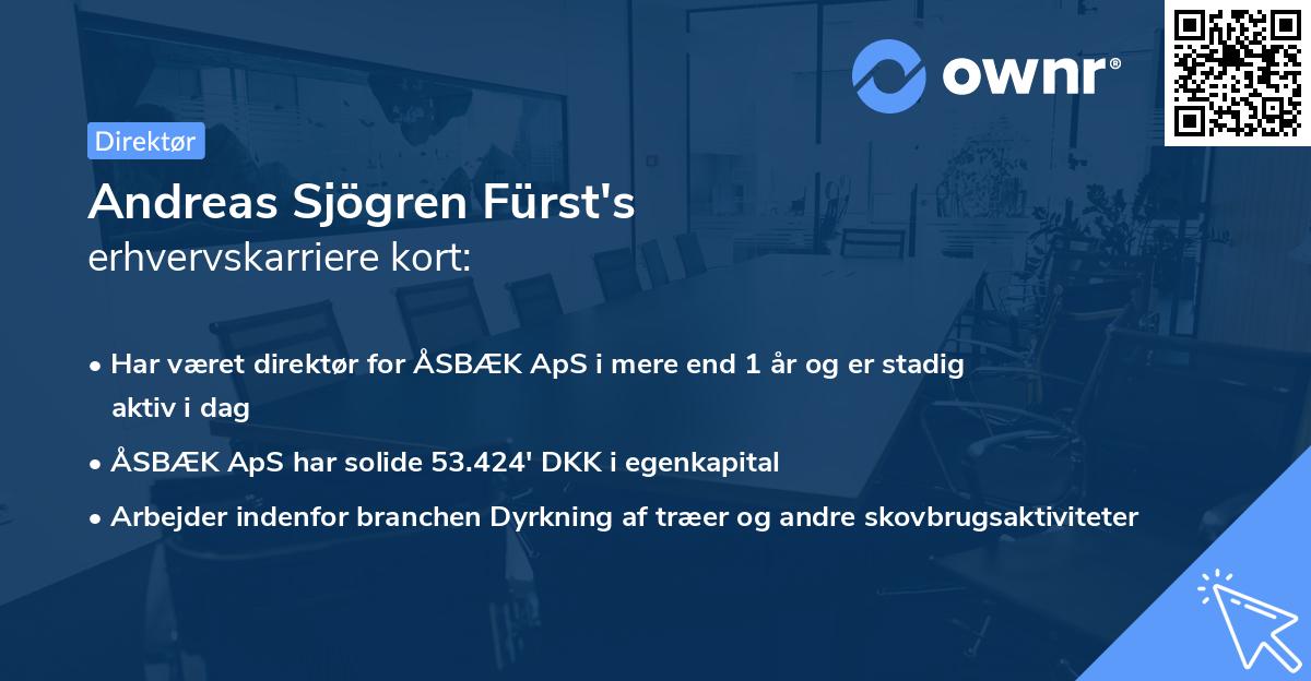 Andreas Sjögren Fürst's erhvervskarriere kort