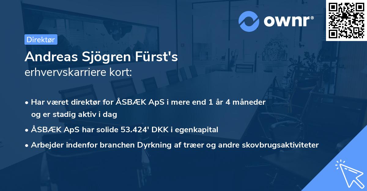 Andreas Sjögren Fürst's erhvervskarriere kort