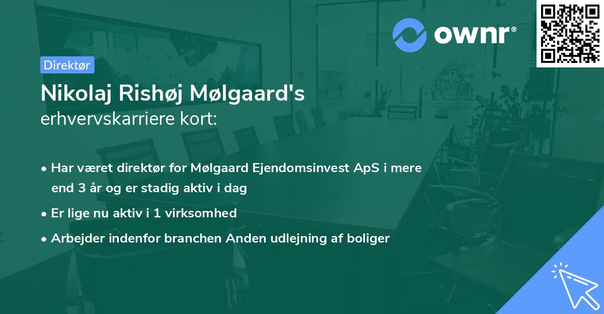 Nikolaj Rishøj Mølgaard's erhvervskarriere kort