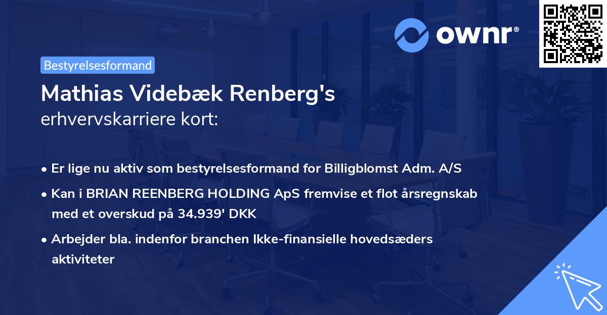 Mathias Videbæk Renberg's erhvervskarriere kort