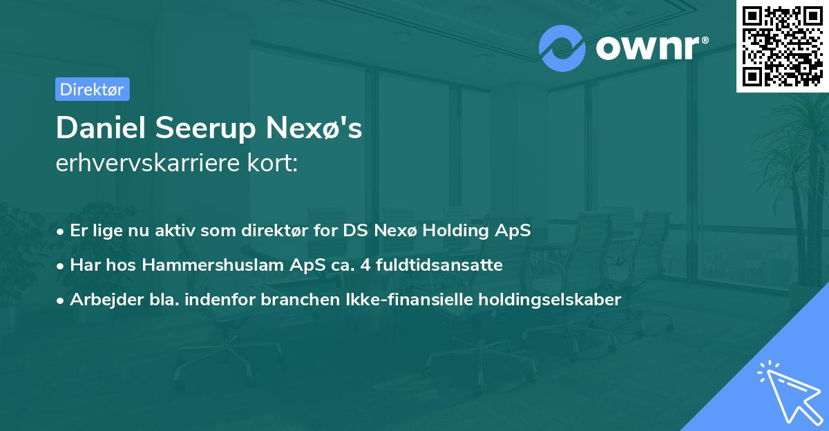 Daniel Seerup Nexø's erhvervskarriere kort