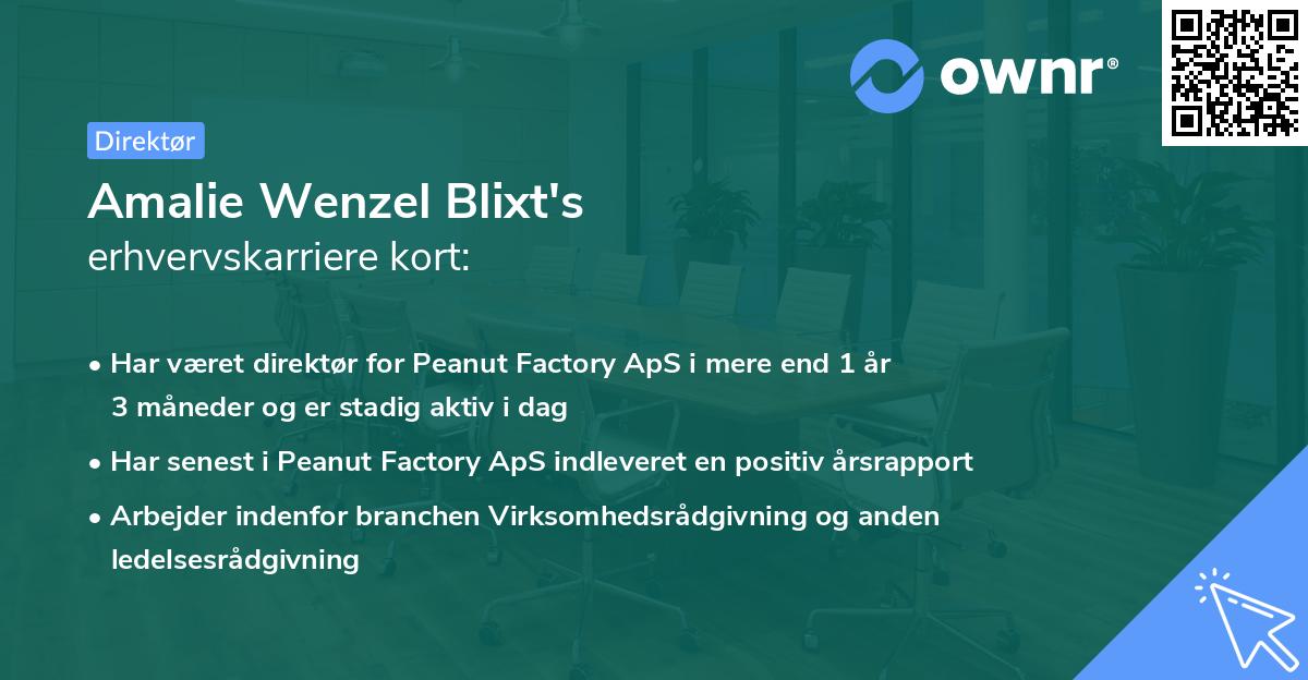 Amalie Wenzel Blixt's erhvervskarriere kort