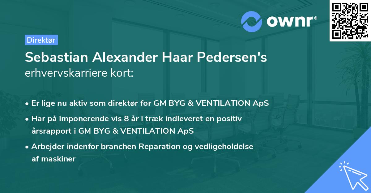 Sebastian Alexander Haar Pedersen's erhvervskarriere kort