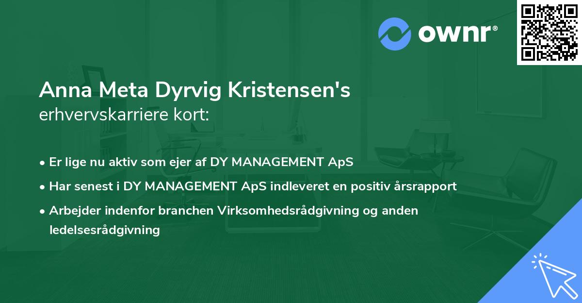 Anna Meta Dyrvig Kristensen's erhvervskarriere kort
