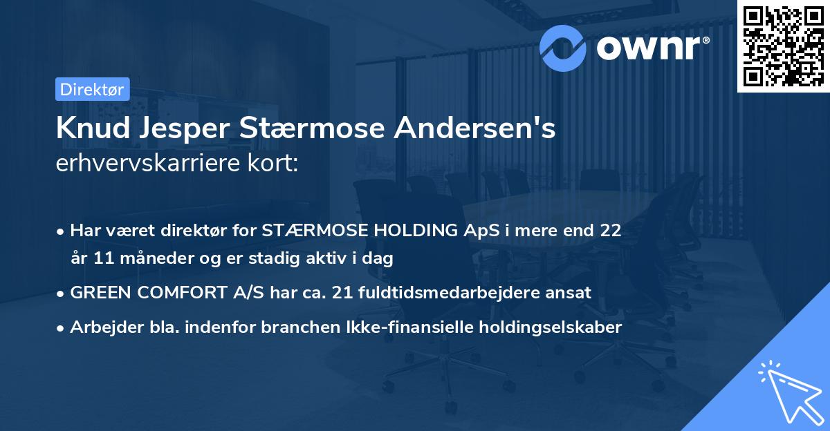 Knud Jesper Stærmose Andersen's erhvervskarriere kort