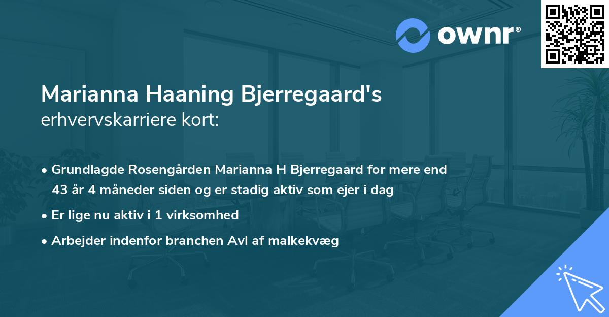 Marianna Haaning Bjerregaard's erhvervskarriere kort