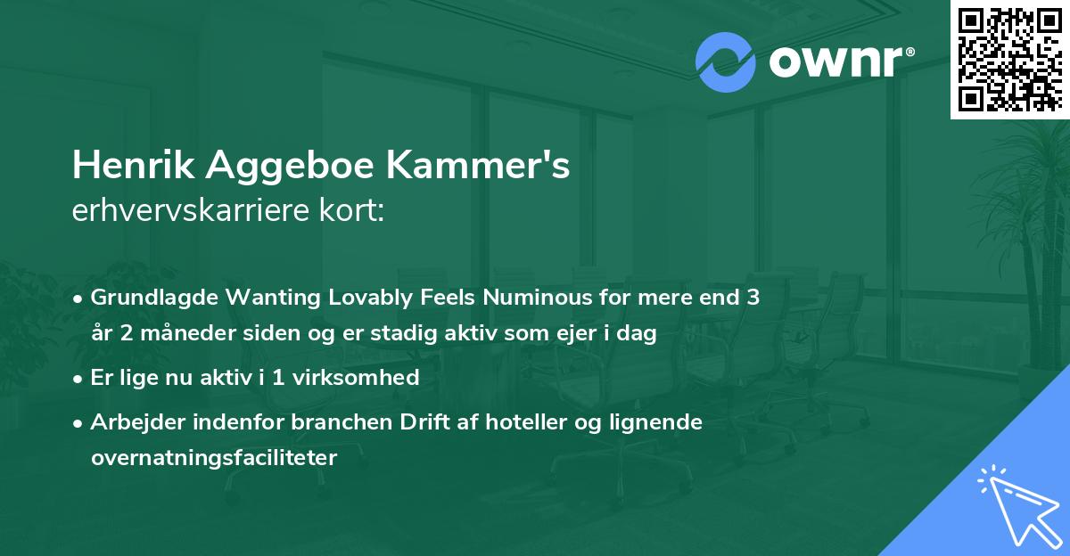 Henrik Aggeboe Kammer's erhvervskarriere kort
