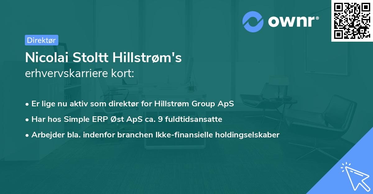 Nicolai Stoltt Hillstrøm's erhvervskarriere kort