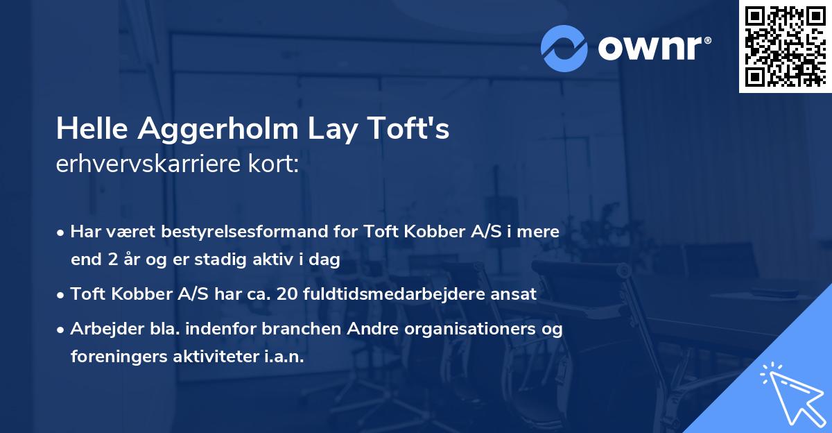 Helle Aggerholm Lay Toft's erhvervskarriere kort