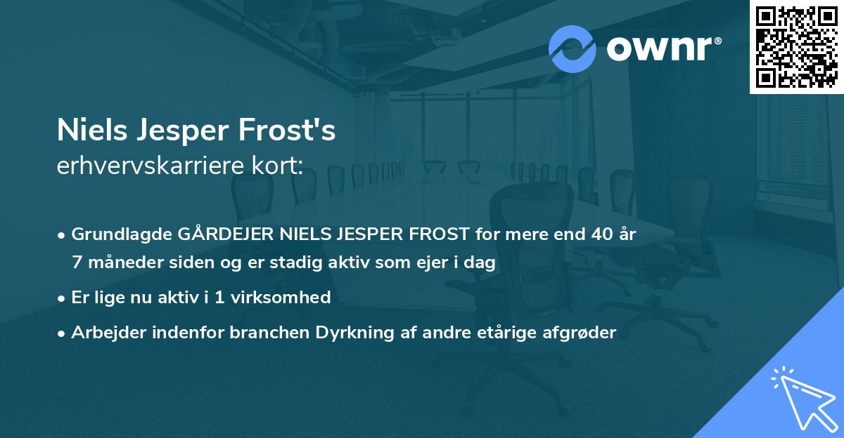 Niels Jesper Frost's erhvervskarriere kort