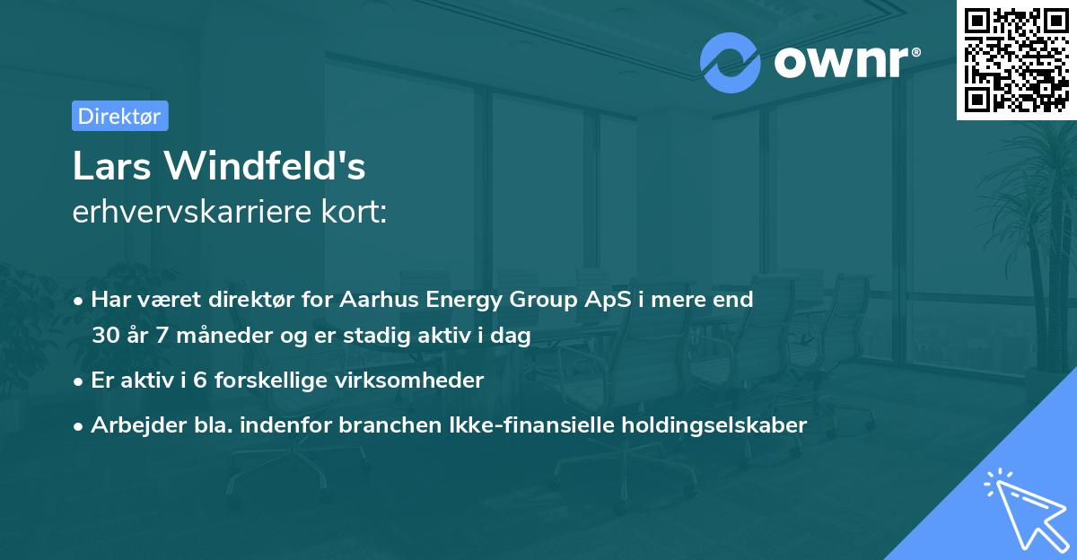 Lars Windfeld's erhvervskarriere kort