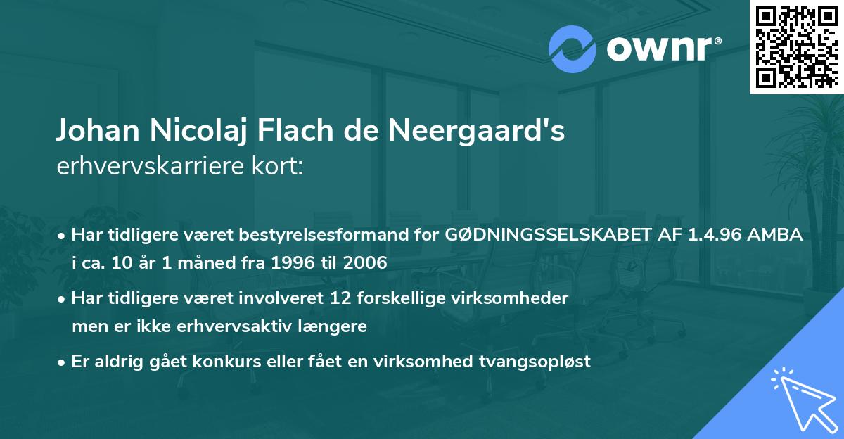 Johan Nicolaj Flach de Neergaard's erhvervskarriere kort