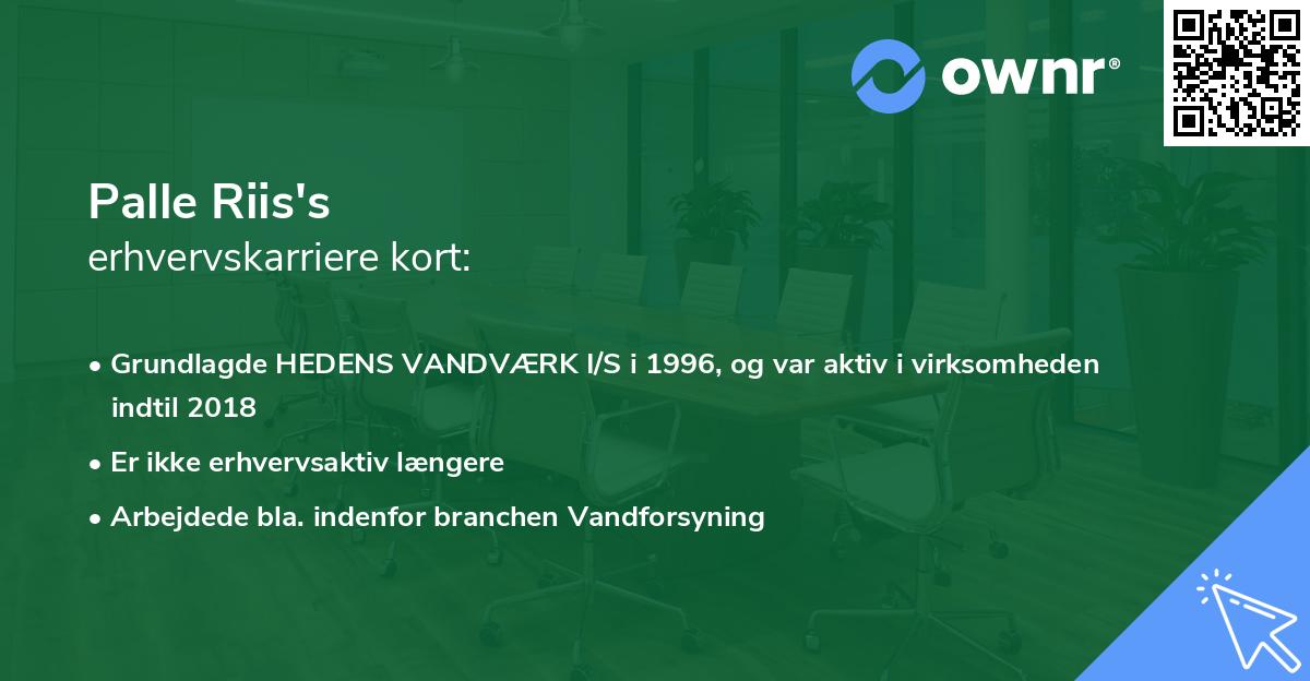 Palle Riis's erhvervskarriere kort