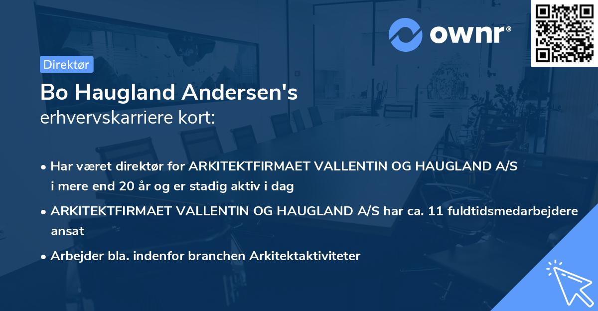 Bo Haugland Andersen's erhvervskarriere kort