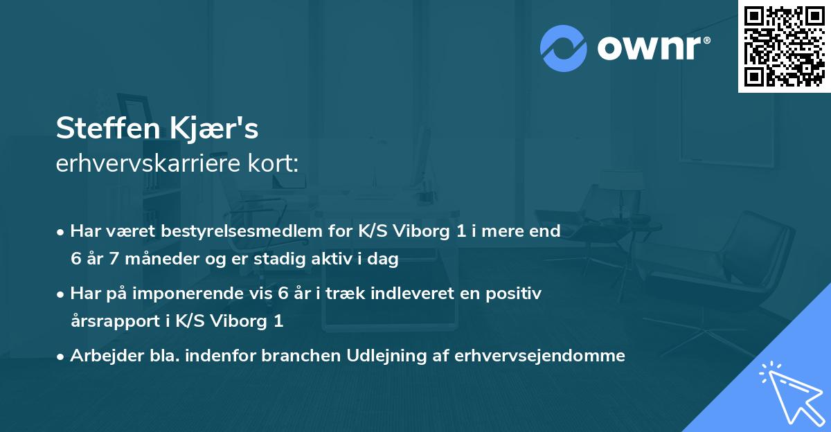 Steffen Kjær's erhvervskarriere kort