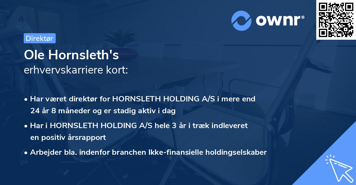 Ole Hornsleth's erhvervskarriere kort