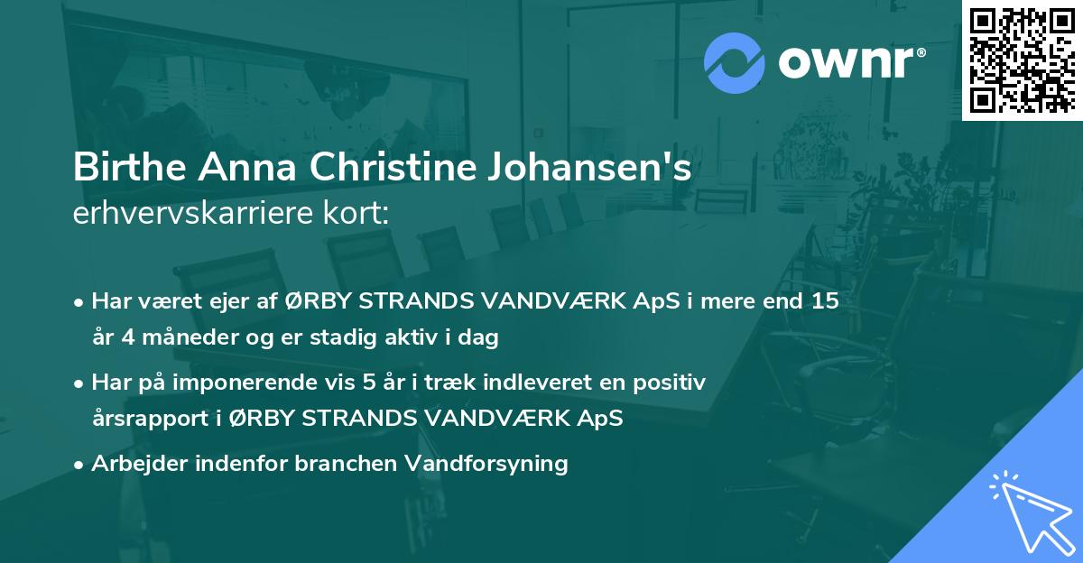 Birthe Anna Christine Johansen's erhvervskarriere kort