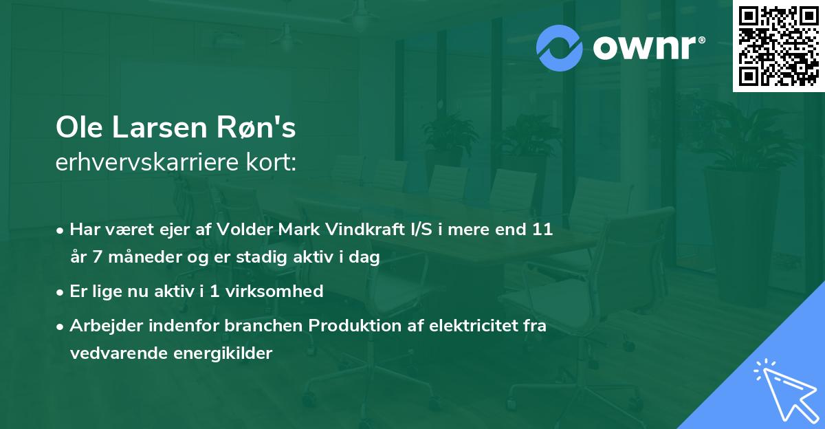 Ole Larsen Røn's erhvervskarriere kort