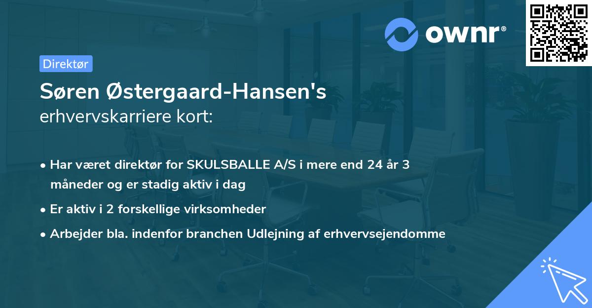 Søren Østergaard-Hansen's erhvervskarriere kort