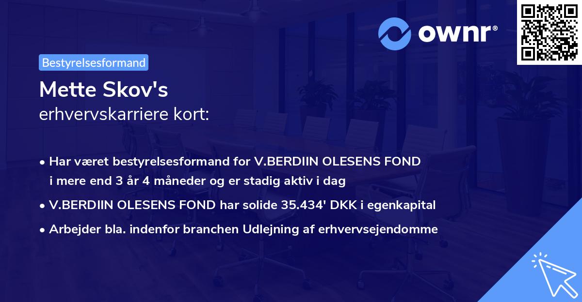 Mette Skov's erhvervskarriere kort