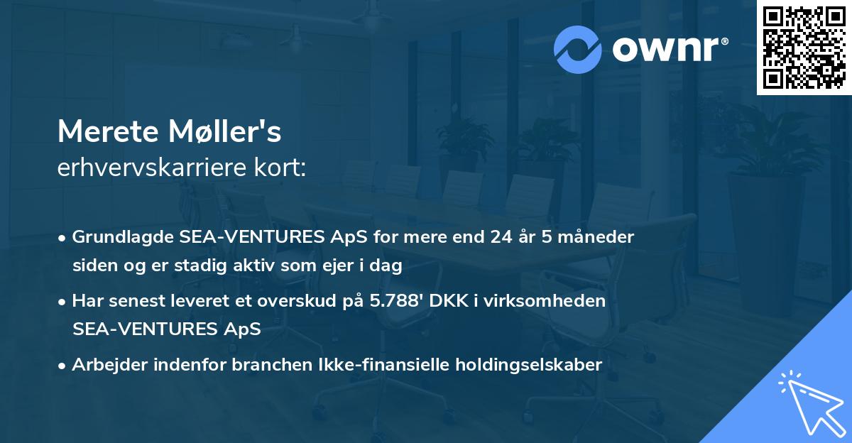 Merete Møller's erhvervskarriere kort