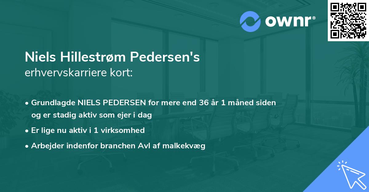 Niels Hillestrøm Pedersen's erhvervskarriere kort
